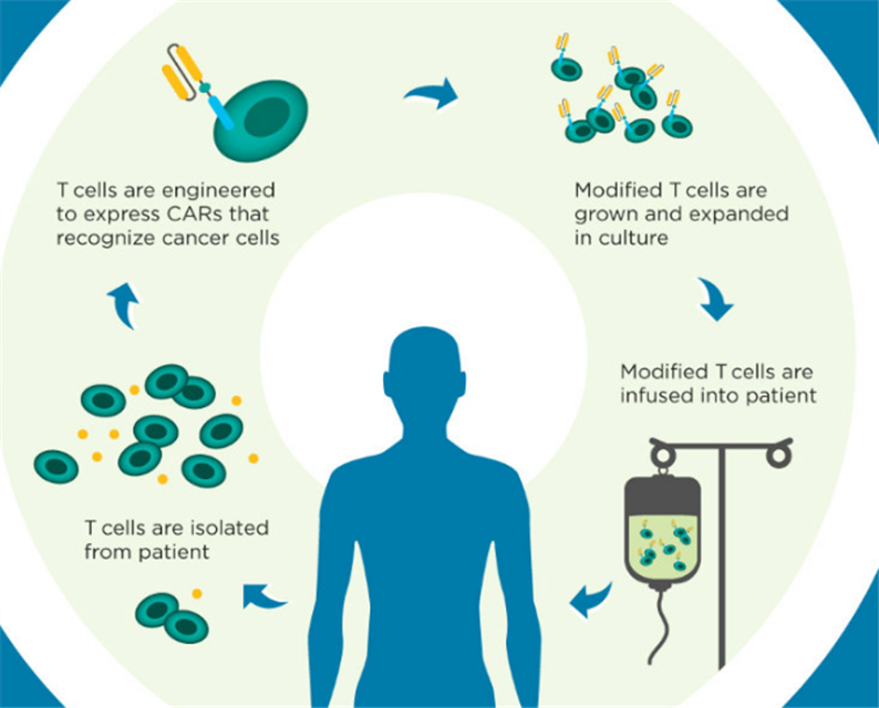 5eec75c6053f9.png 5eec75c6053f9.png