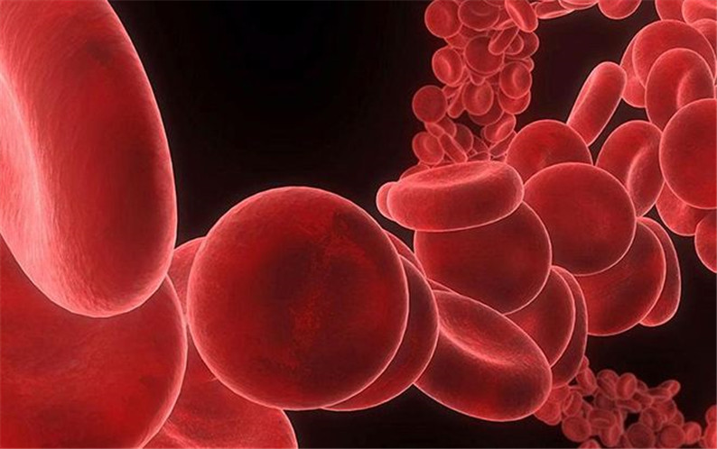 5f4382dd39bb9.jpg 5f4382dd39bb9.jpg