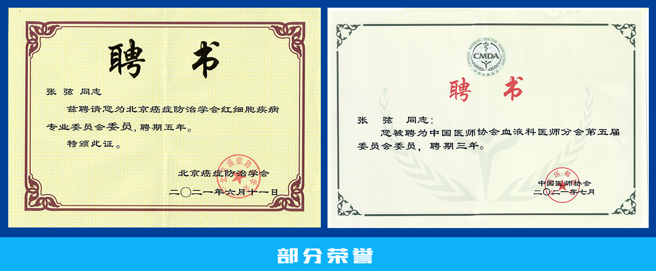 60ff6124b891e.jpg 60ff6124b891e.jpg