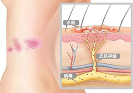 650172546c775.png 650172546c775.png