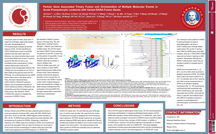 65782084a94e1.png 65782084a94e1.png