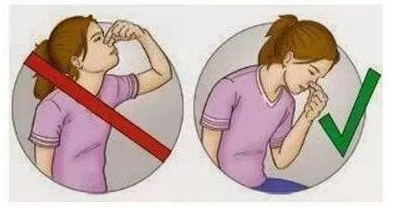 65829dd8ce404.png 65829dd8ce404.png