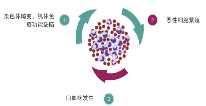 66600cf5647a9.jpg 66600cf5647a9.jpg