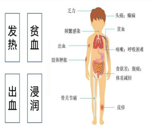 66600d03214d9.png 66600d03214d9.png