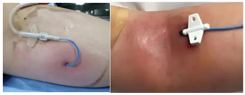 6667e0da57c59.png 6667e0da57c59.png