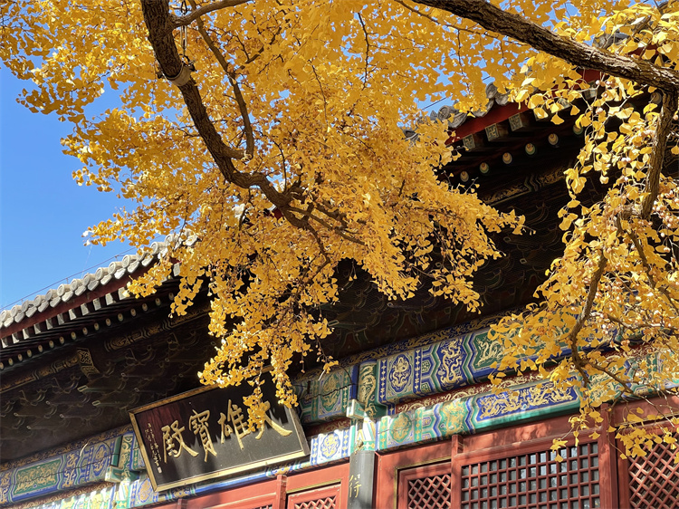 672c5ecdc3009.jpg 672c5ecdc3009.jpg