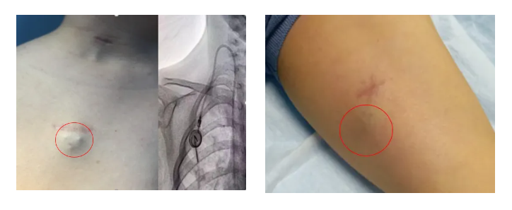 67b5919d457ca.png 67b5919d457ca.png