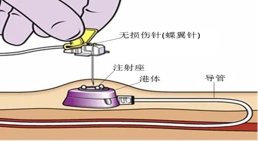 67b591a32fcd9.jpg 67b591a32fcd9.jpg