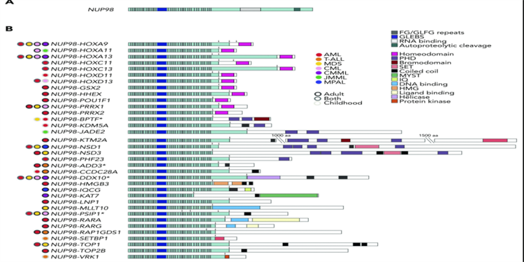 684f6d30300e3.png 684f6d30300e3.png