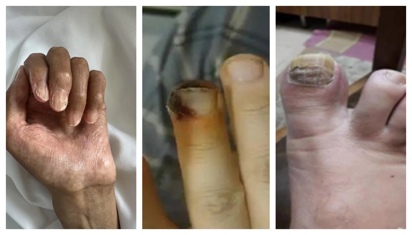 689568d99b2df.jpg 689568d99b2df.jpg