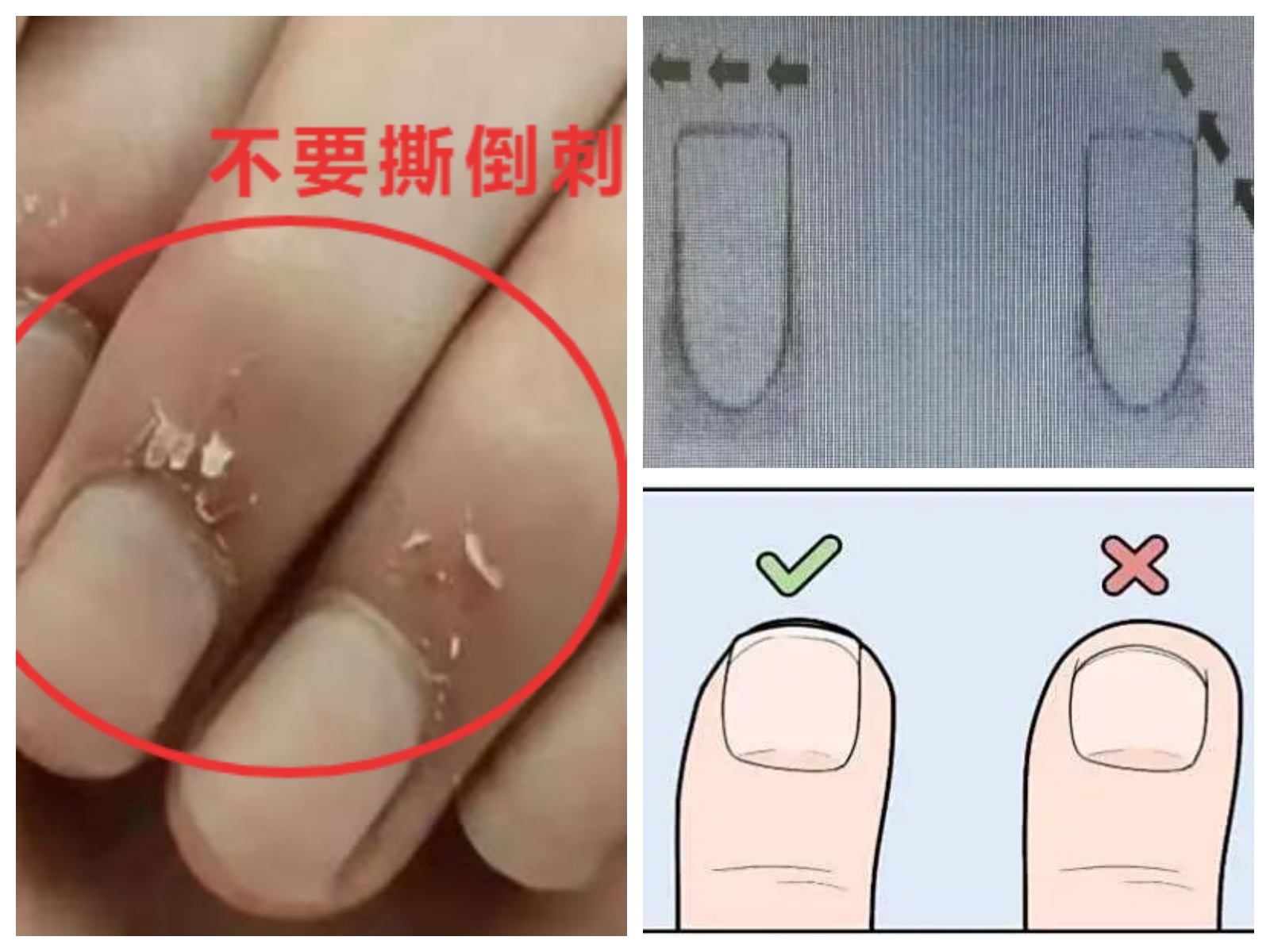 689568eeb05d4.jpg 689568eeb05d4.jpg