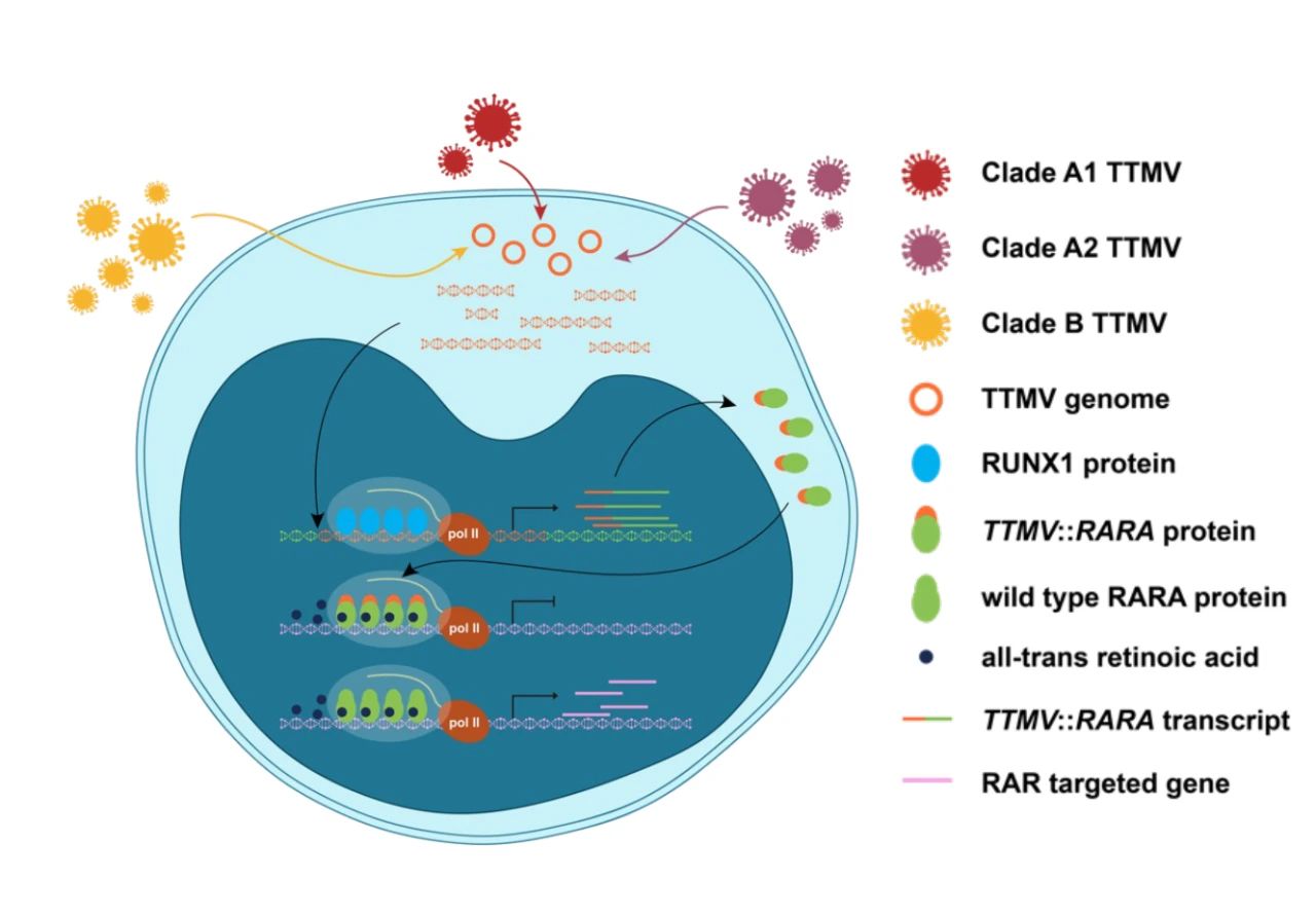 68ad707770777.jpg 68ad707770777.jpg